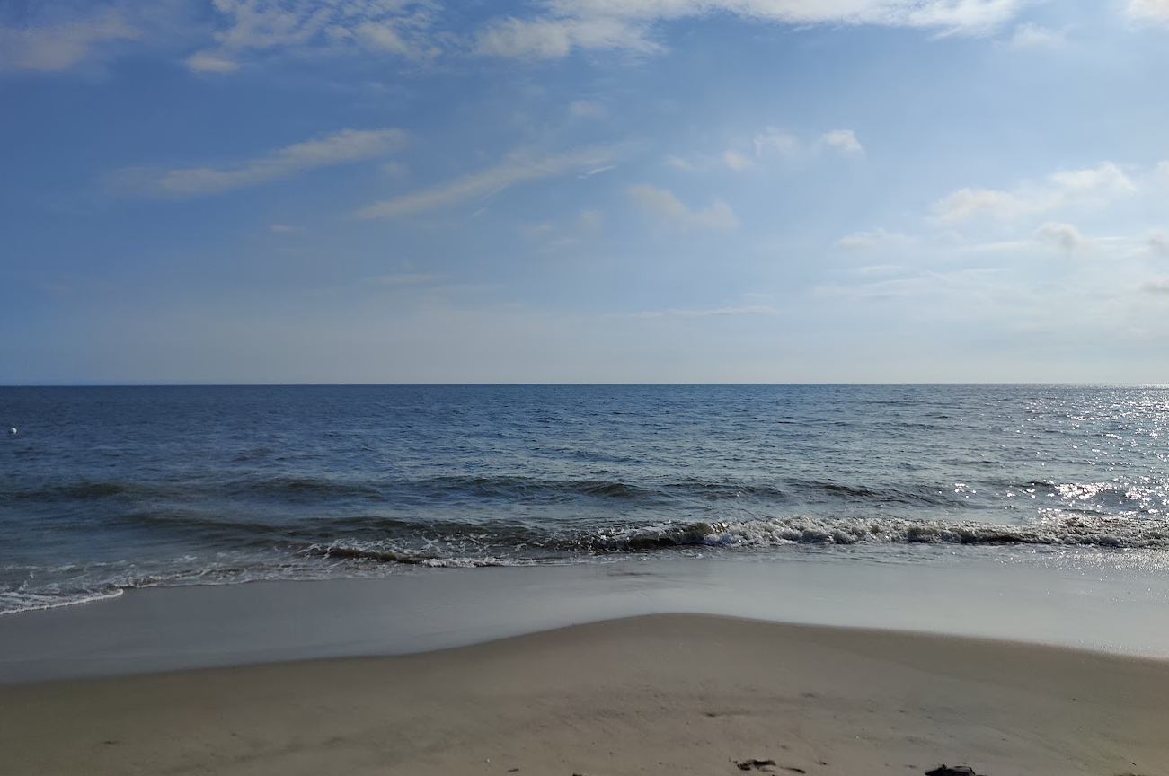 The Ocean